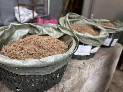 果蔬垃圾16小时变身有机肥 上海农产品市场也有"高科技"